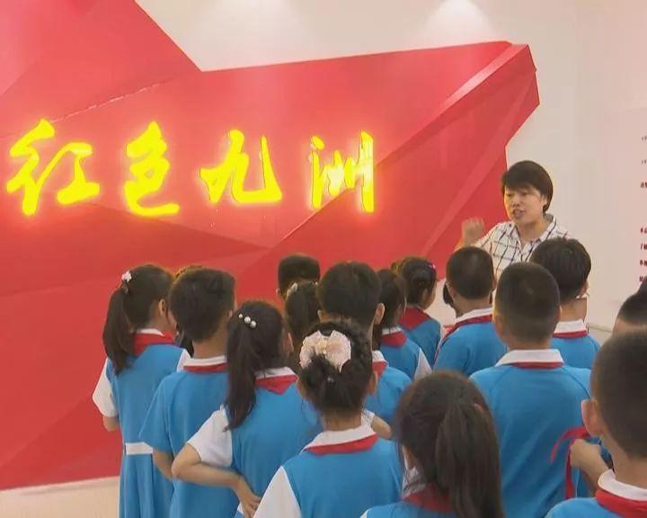 机智问答网页 - 探索吸财树养不好是有原因的?什么原因呢?如何养呢?的机智答案